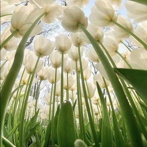 Meet your Posher, Nancy